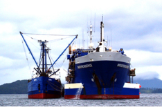 Freighters, Company owned and operated